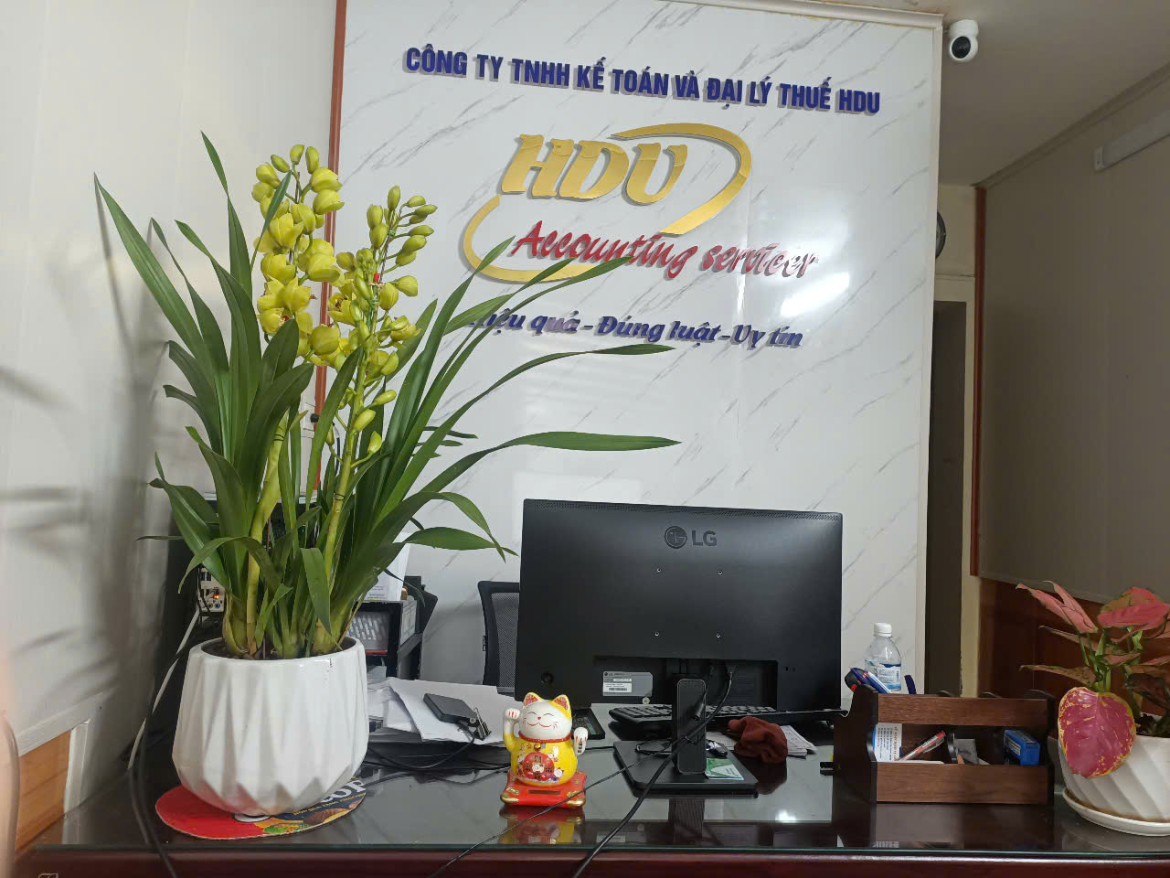 lĩnh vực hoạt động