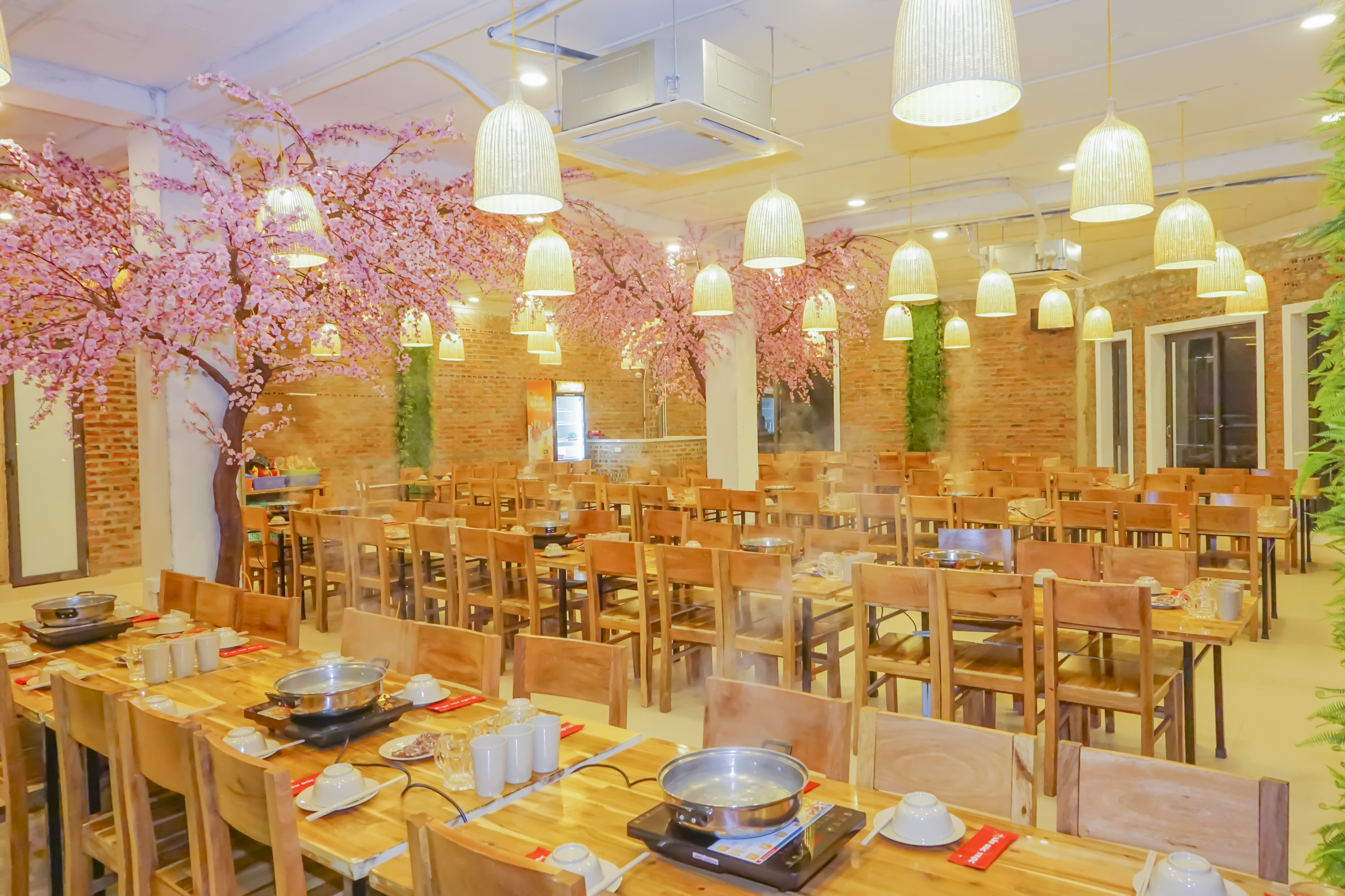 lĩnh vực hoạt động
