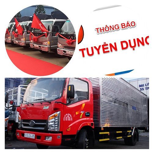 lĩnh vực hoạt động