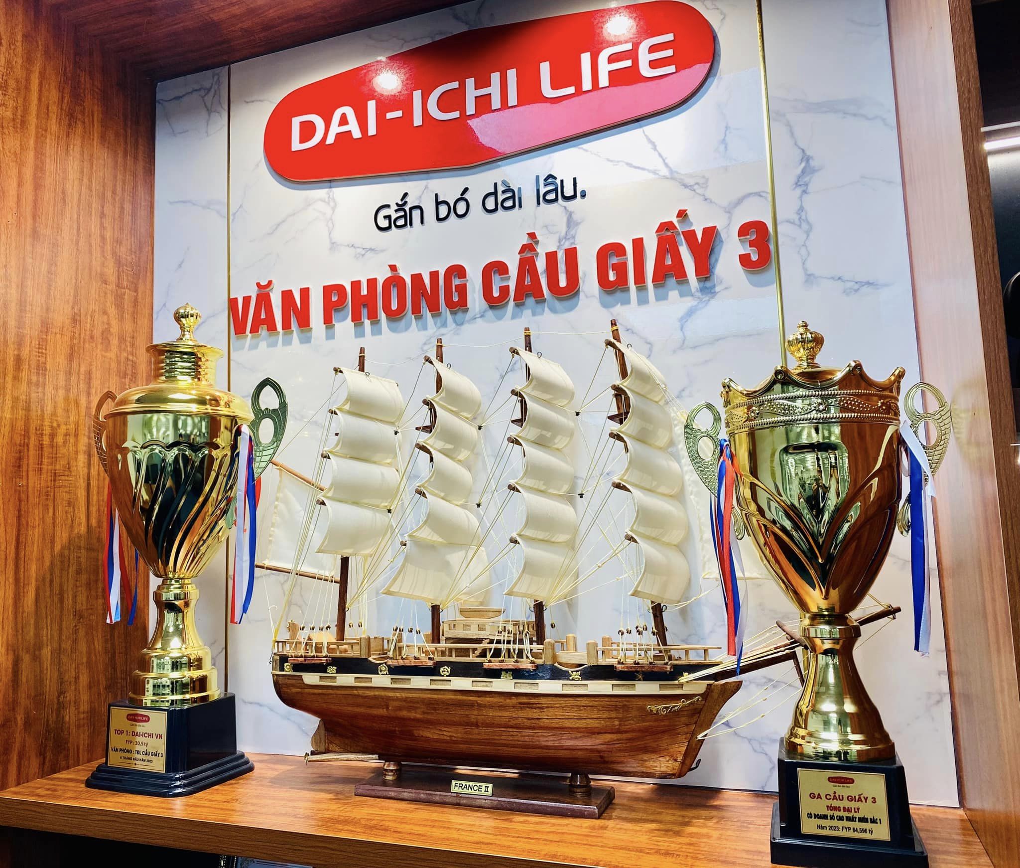 lĩnh vực hoạt động