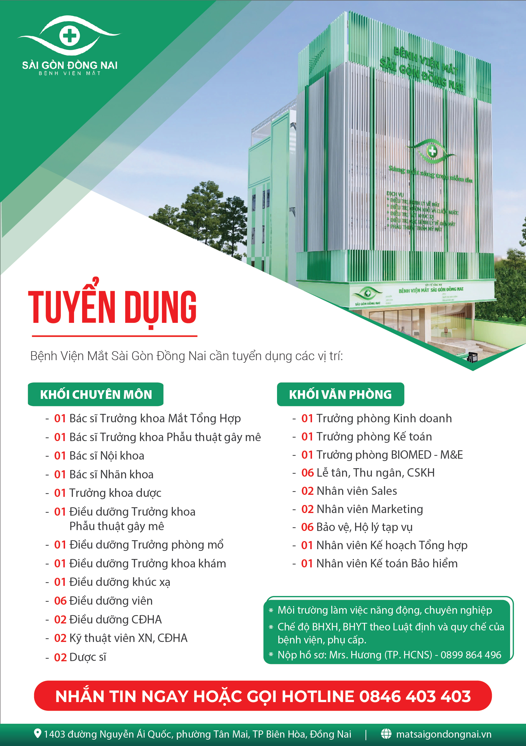 lĩnh vực hoạt động