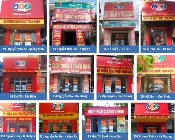 lĩnh vực hoạt động