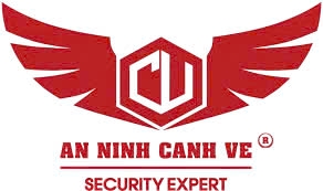 lĩnh vực hoạt động
