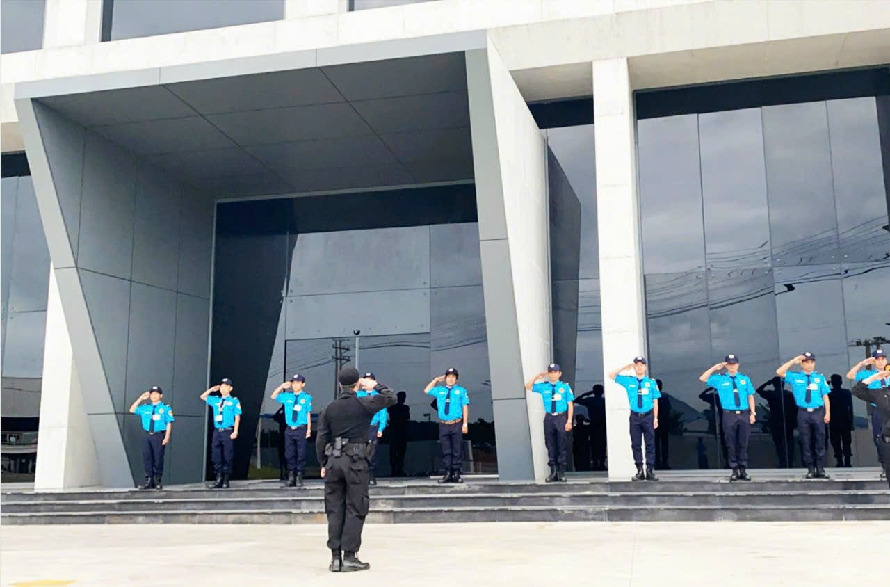 lĩnh vực hoạt động