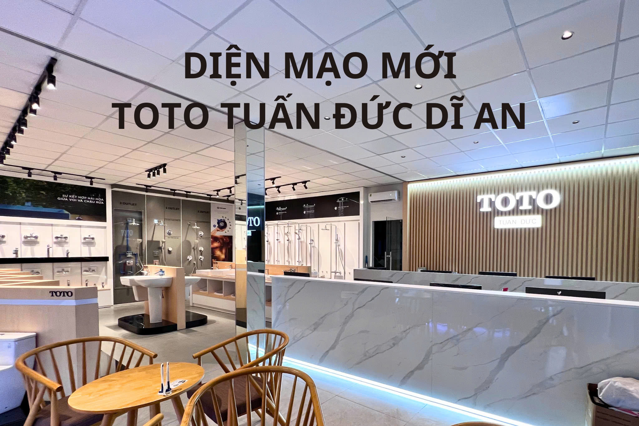 lĩnh vực hoạt động