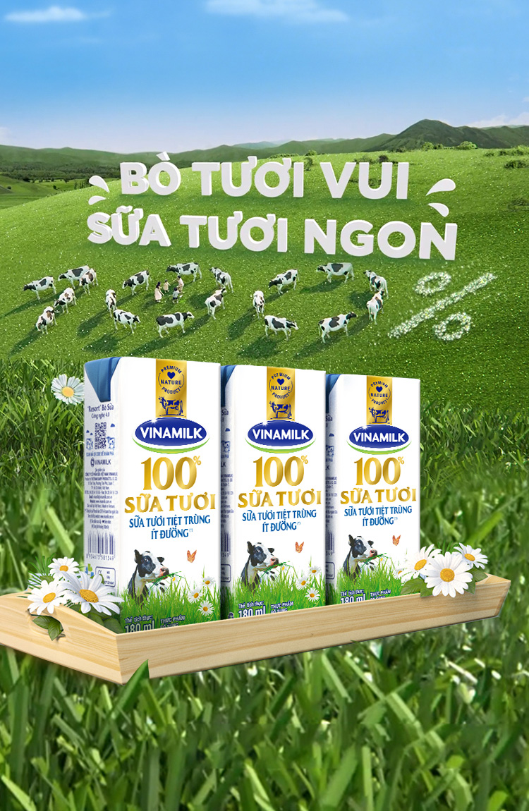 lĩnh vực hoạt động