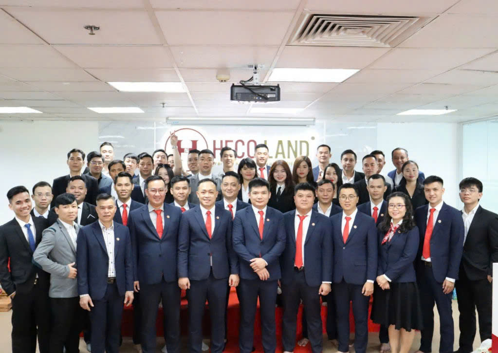 lĩnh vực hoạt động