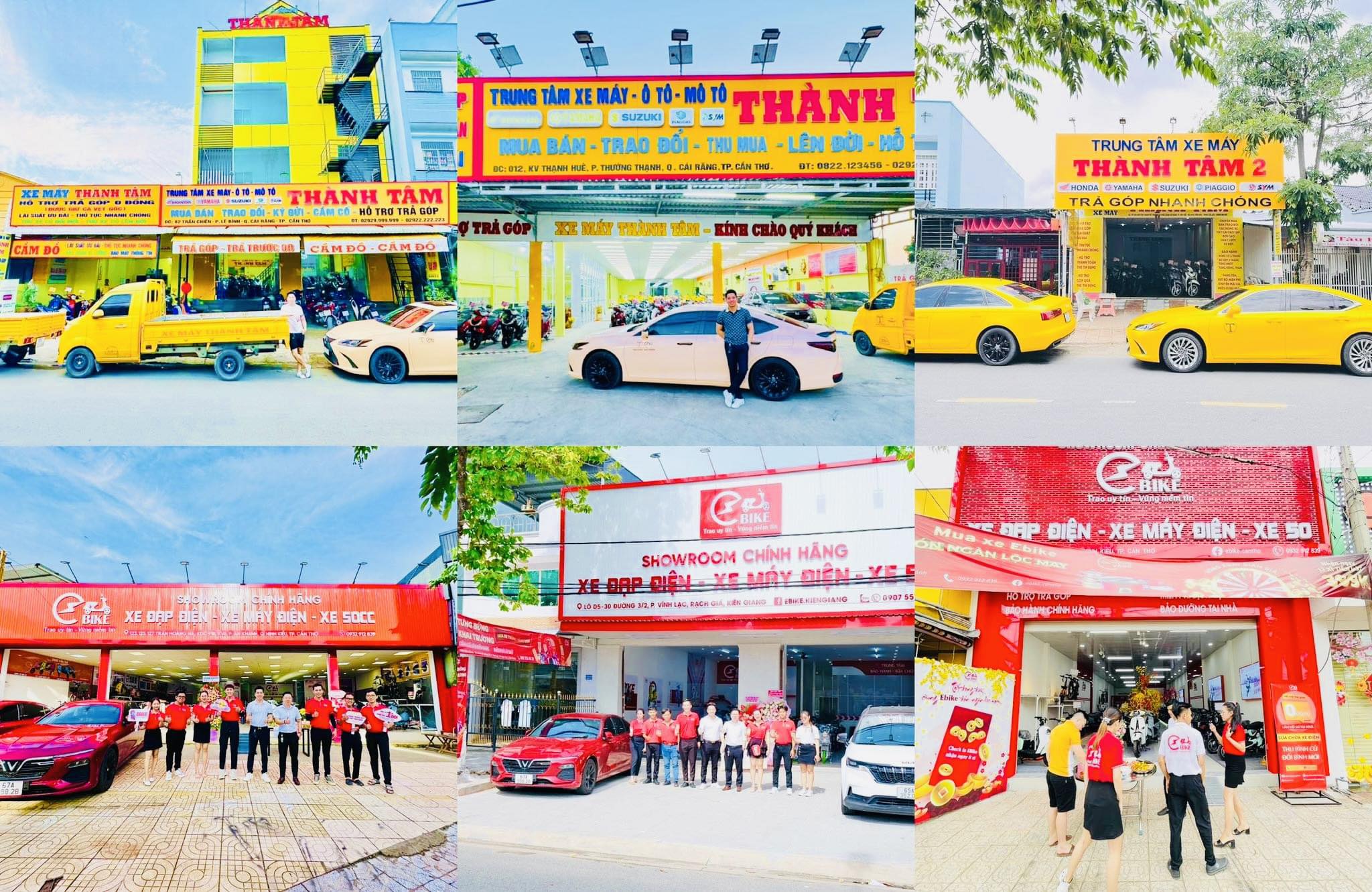 lĩnh vực hoạt động