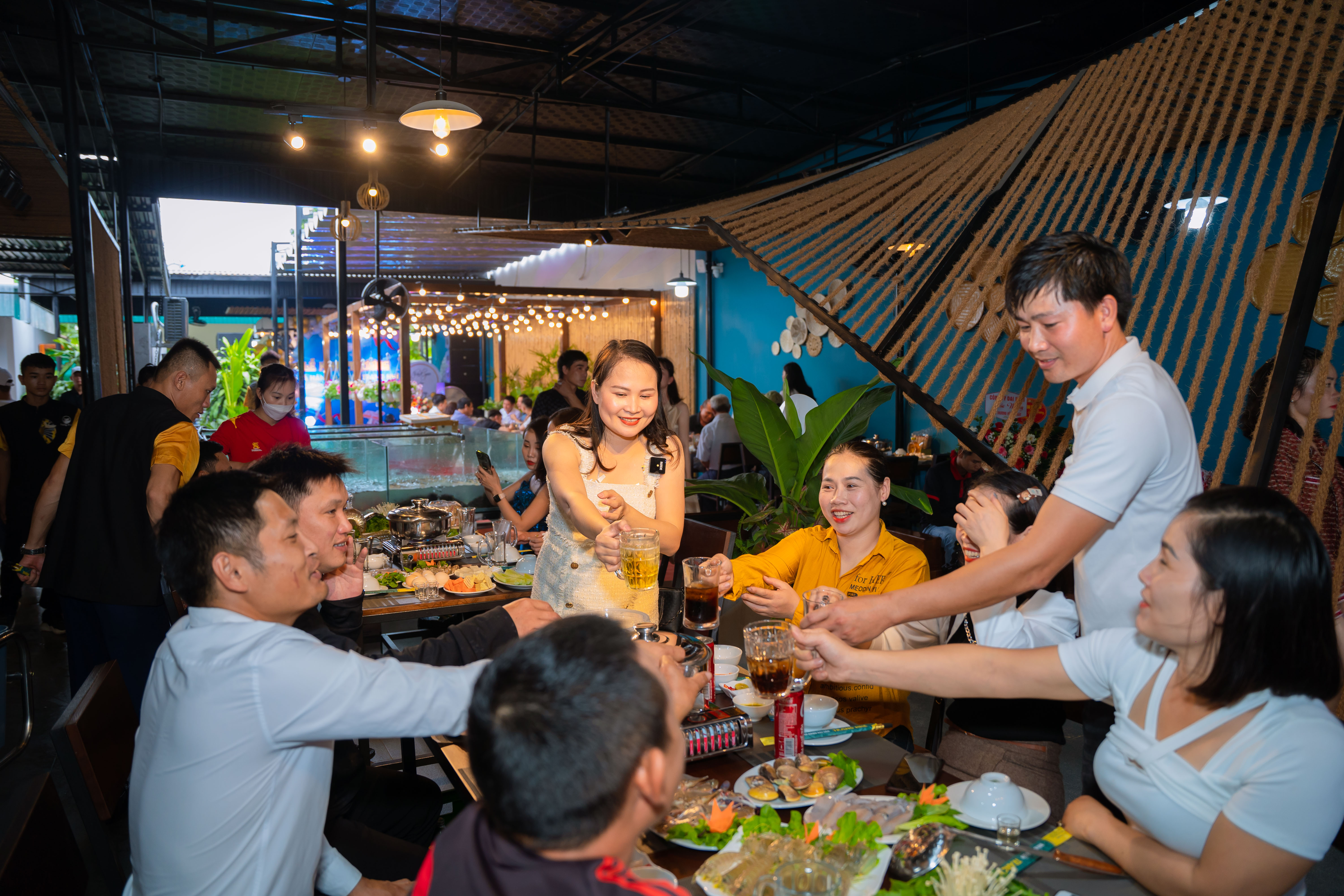 lĩnh vực hoạt động