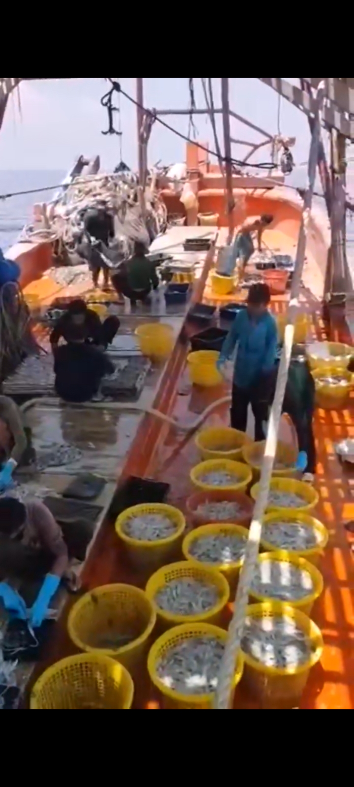 lĩnh vực hoạt động