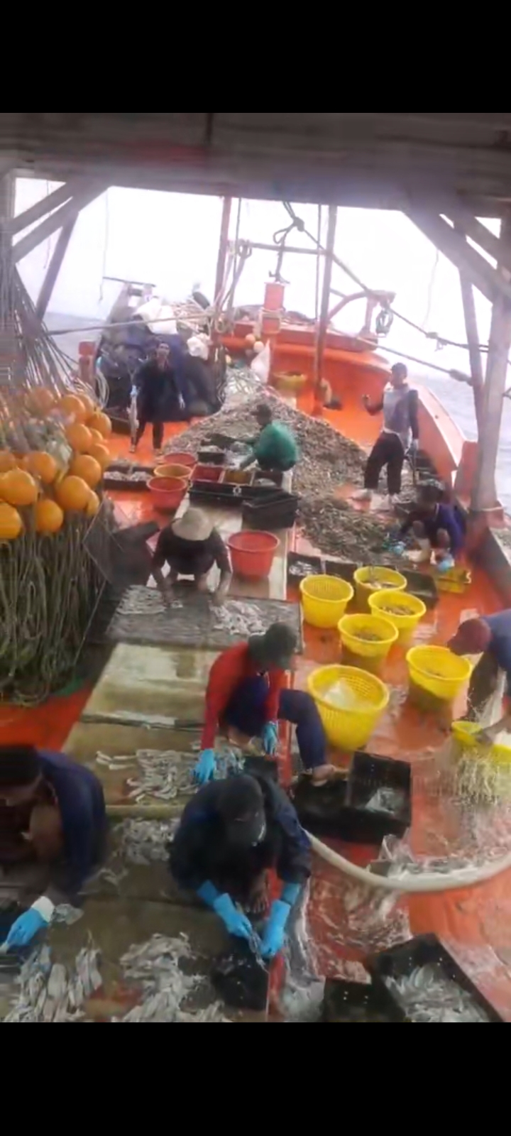 lĩnh vực hoạt động
