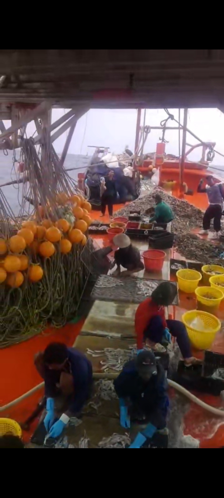 lĩnh vực hoạt động