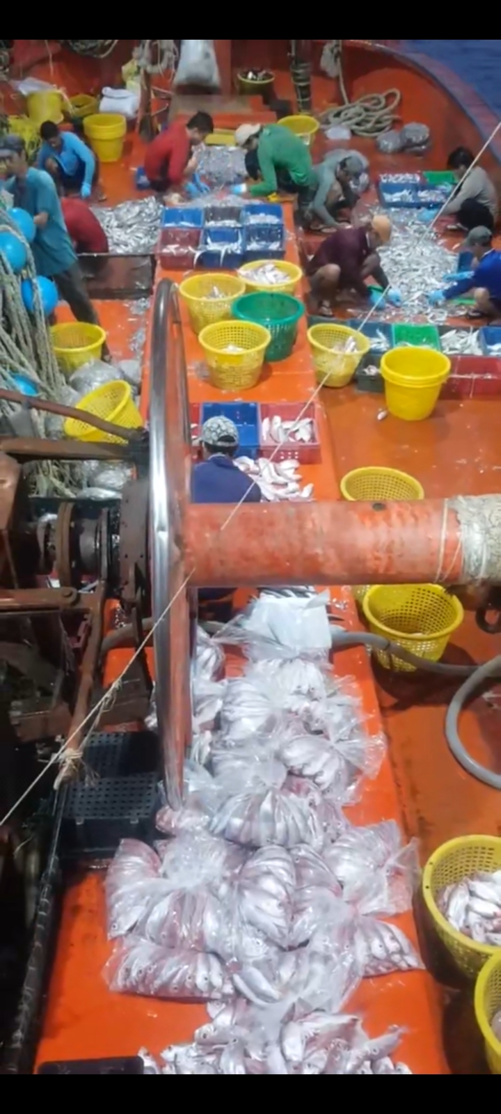 lĩnh vực hoạt động