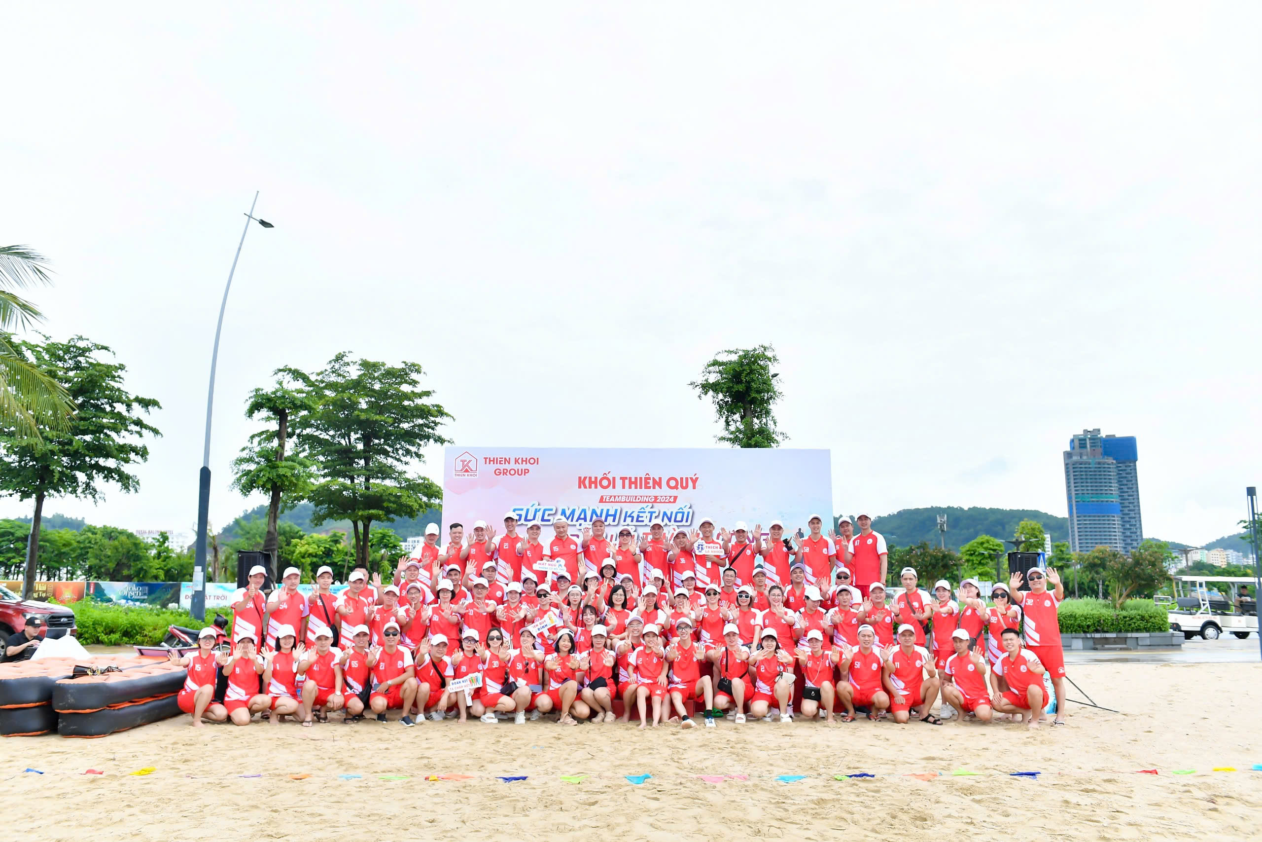 lĩnh vực hoạt động