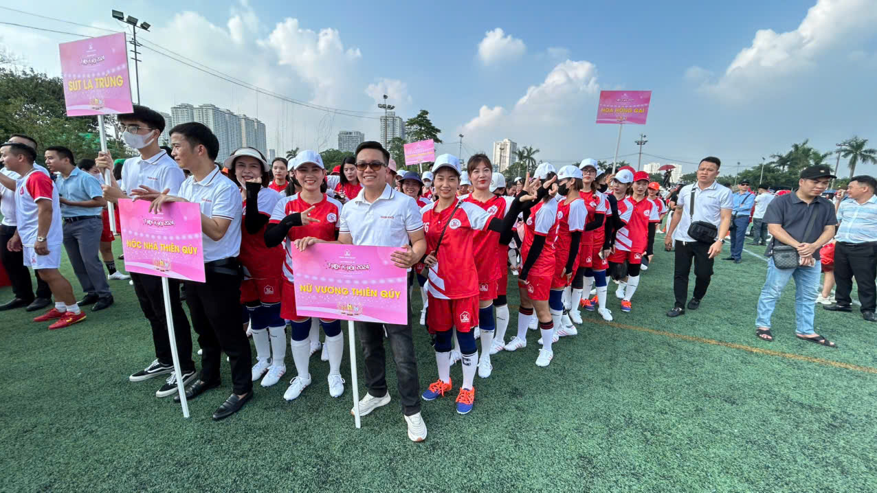 lĩnh vực hoạt động