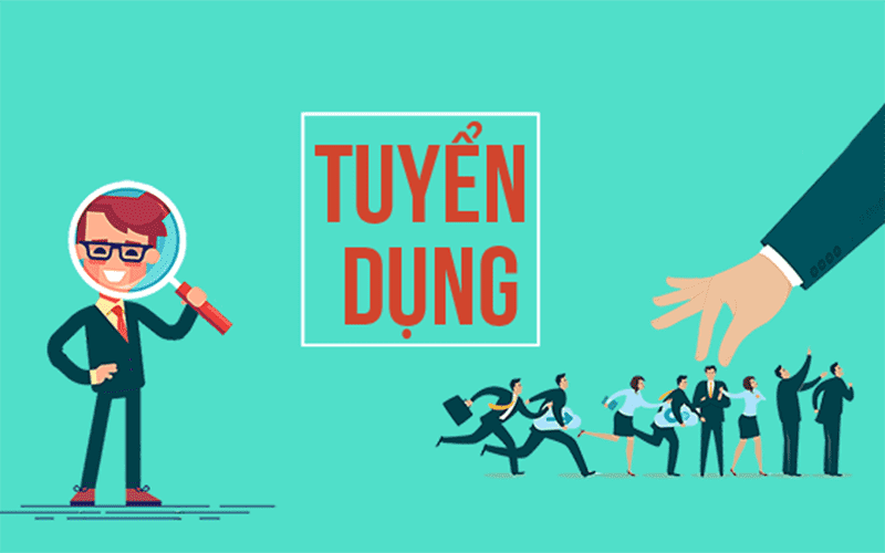 lĩnh vực hoạt động