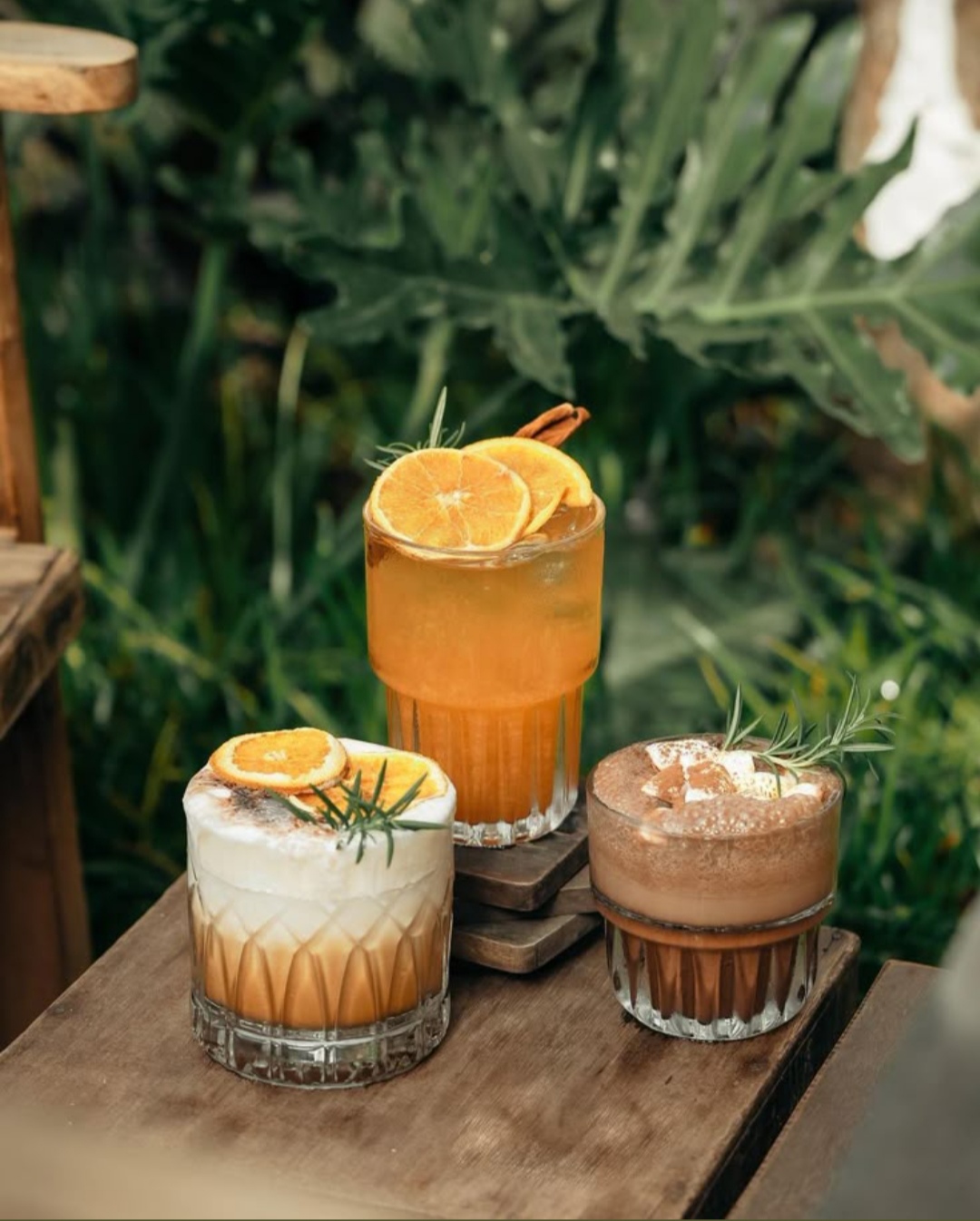 lĩnh vực hoạt động
