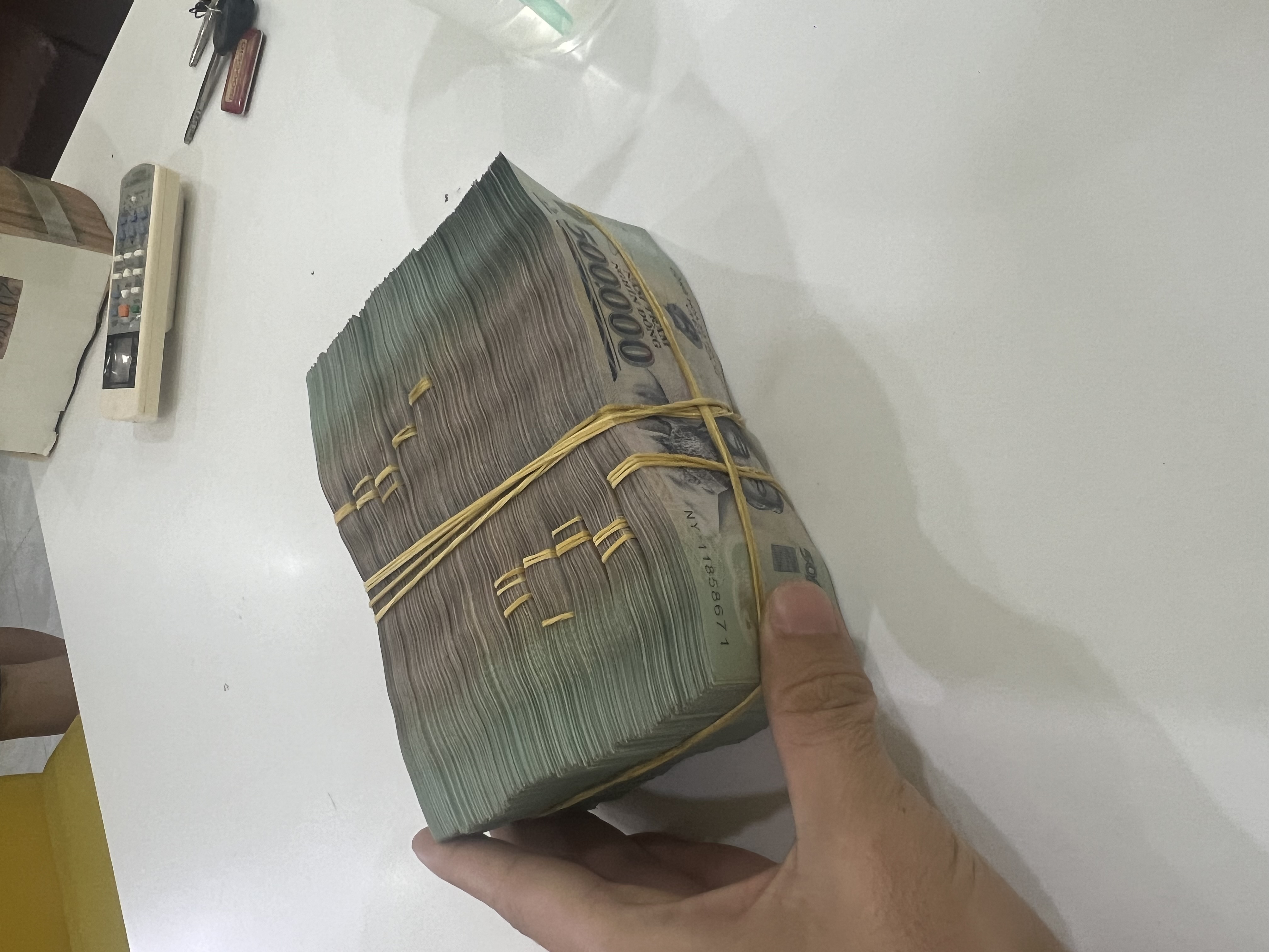 lĩnh vực hoạt động