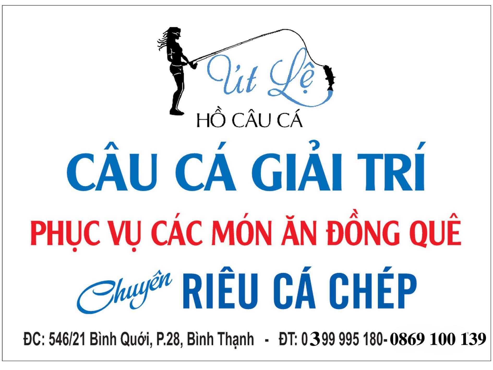 lĩnh vực hoạt động