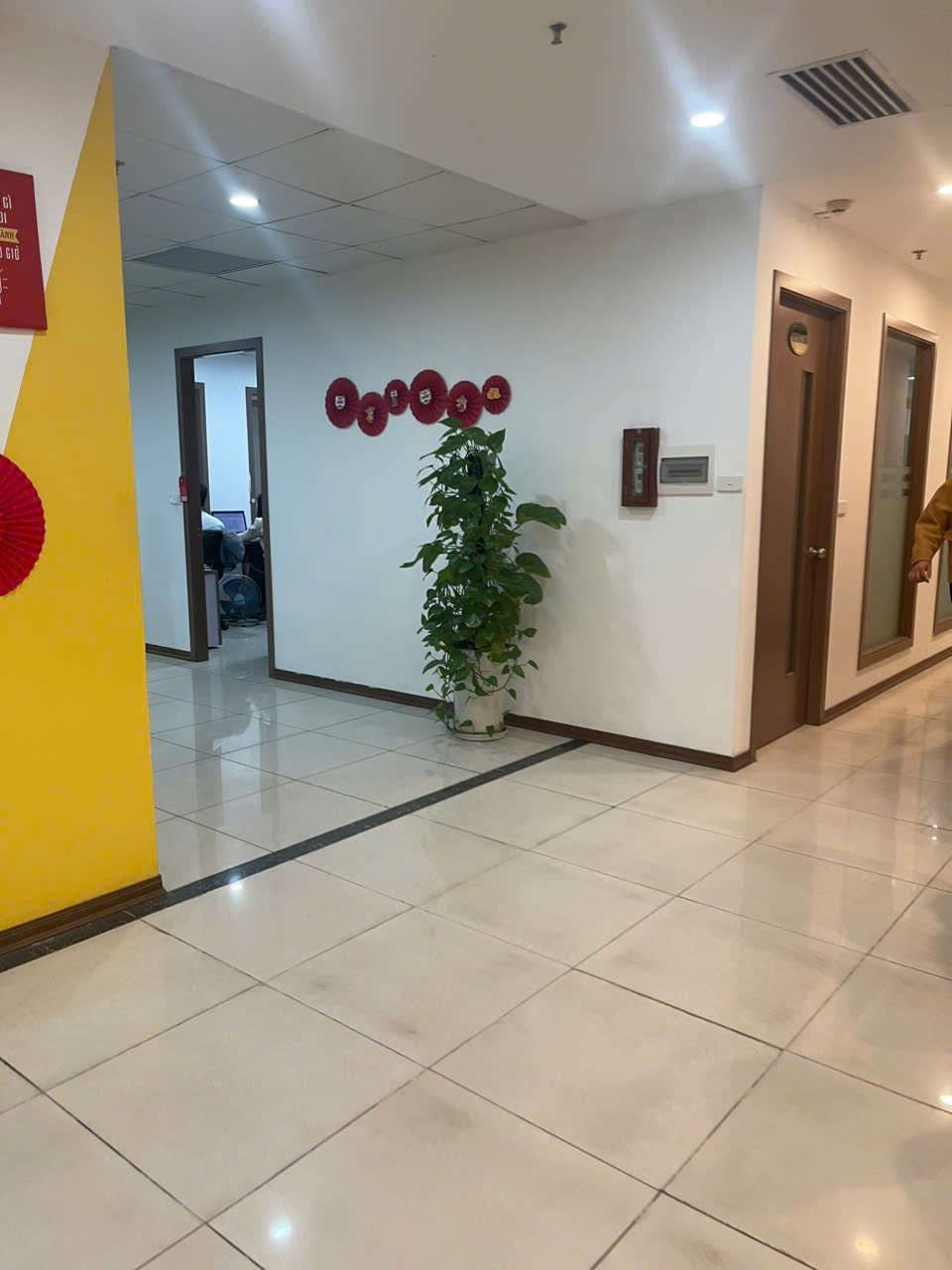 lĩnh vực hoạt động