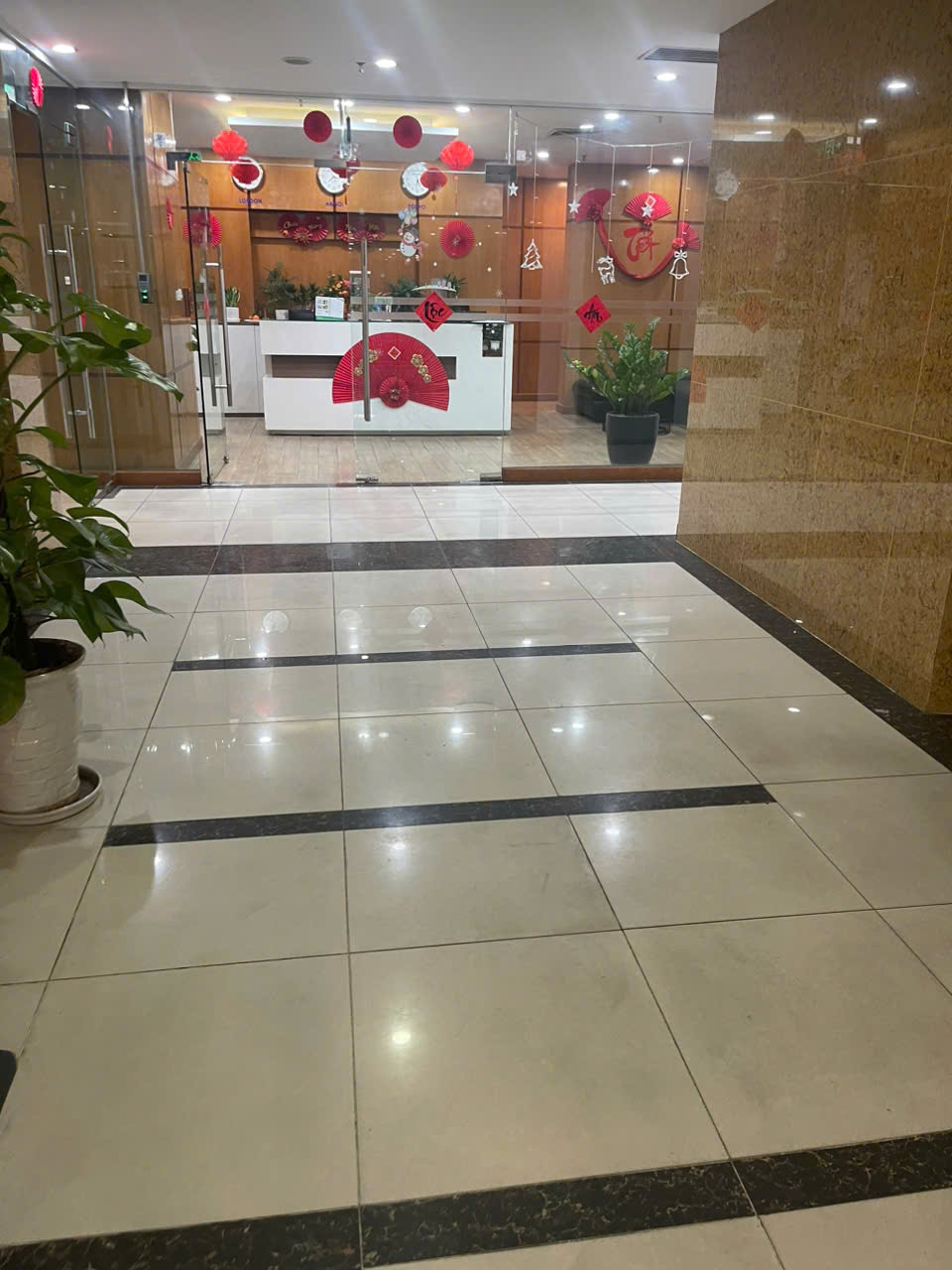 lĩnh vực hoạt động