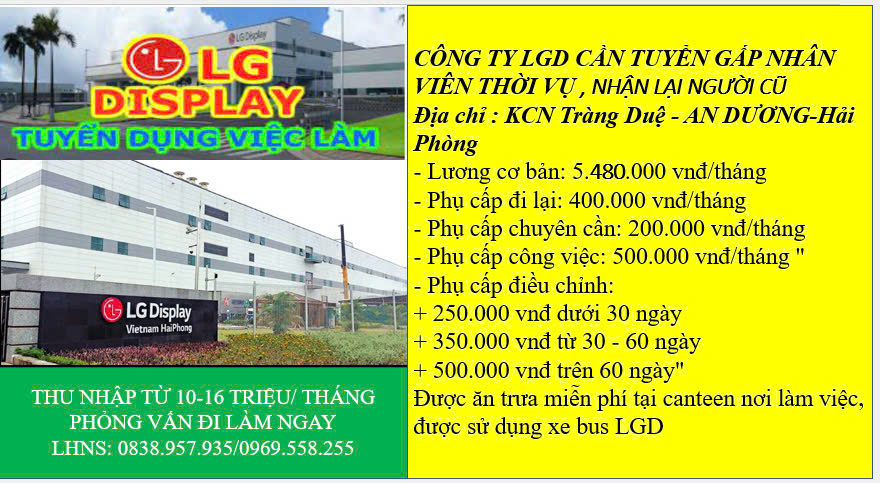 lĩnh vực hoạt động