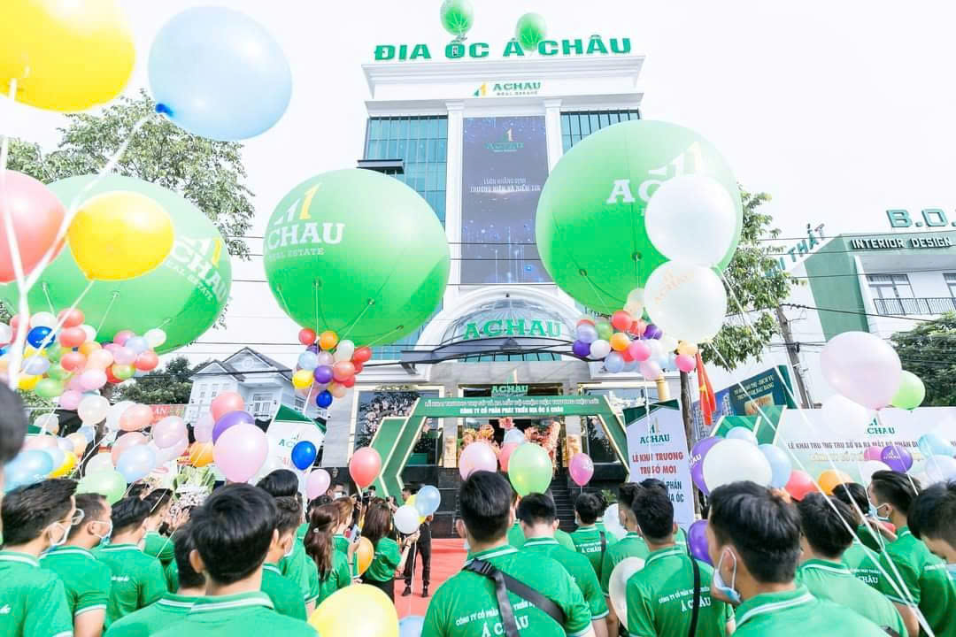 lĩnh vực hoạt động