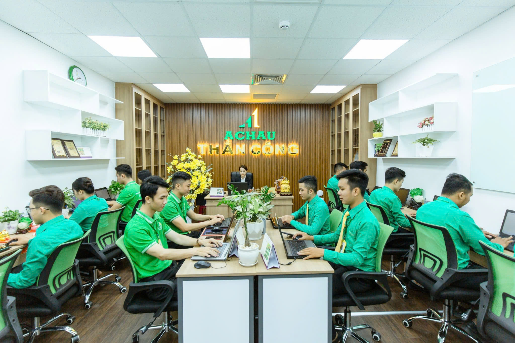 lĩnh vực hoạt động
