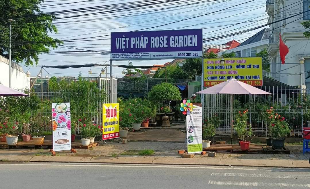 lĩnh vực hoạt động