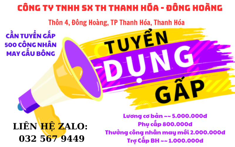 lĩnh vực hoạt động