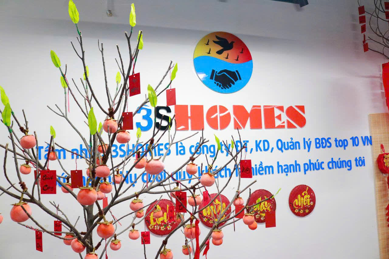 lĩnh vực hoạt động