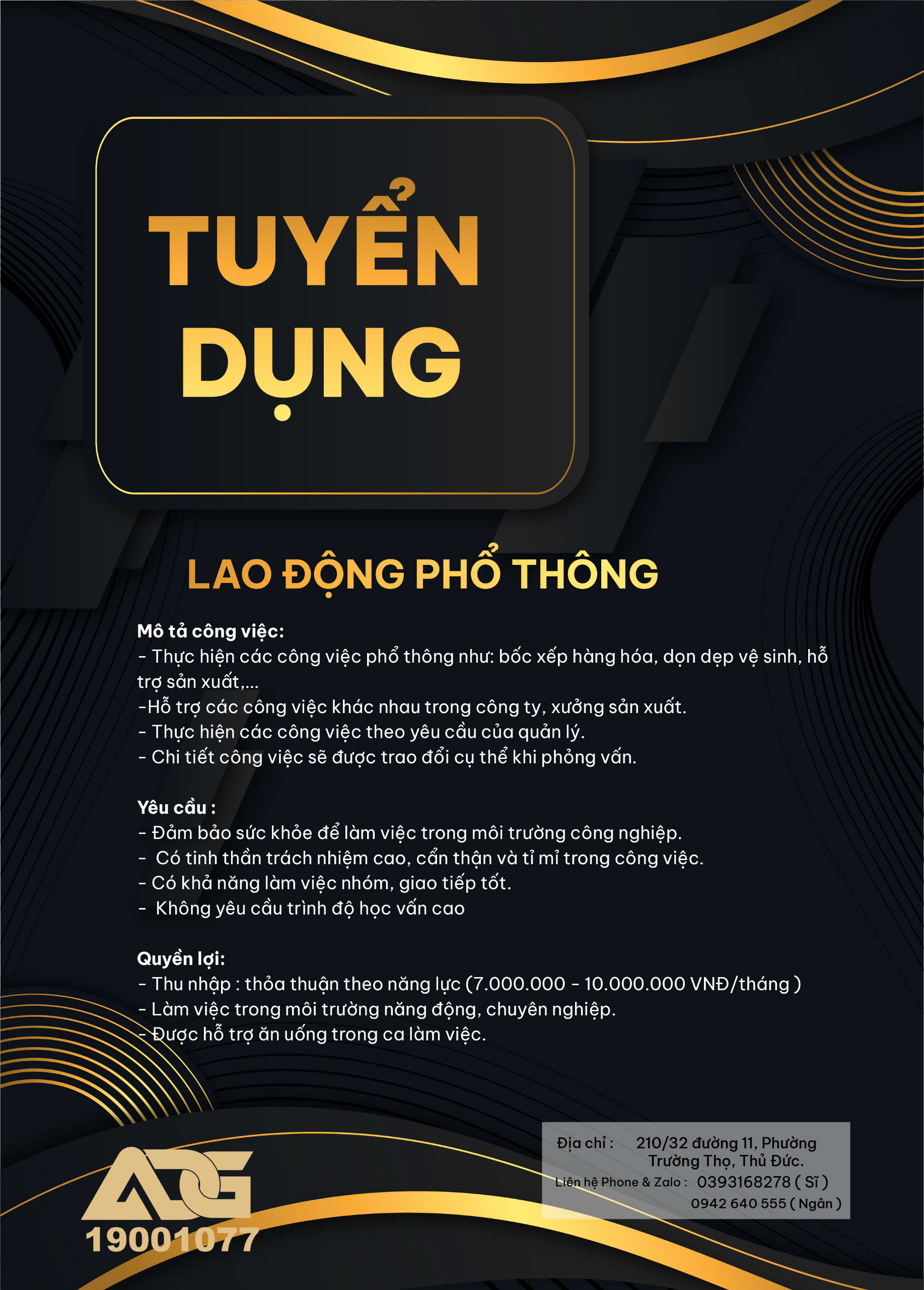lĩnh vực hoạt động