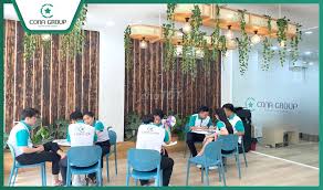 lĩnh vực hoạt động