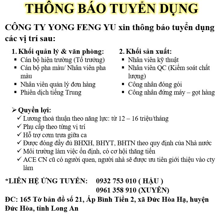 lĩnh vực hoạt động