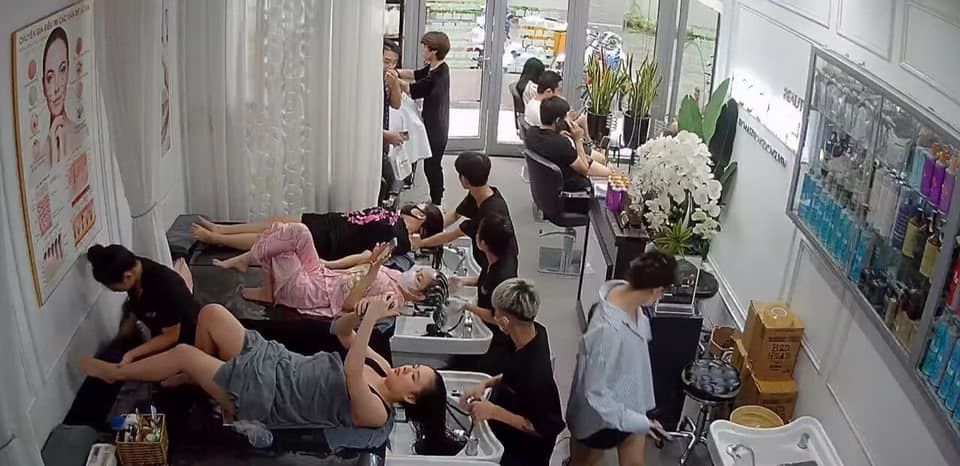 lĩnh vực hoạt động