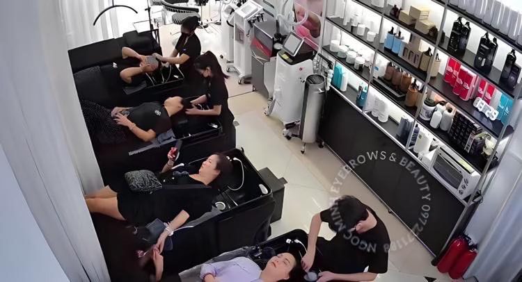 lĩnh vực hoạt động