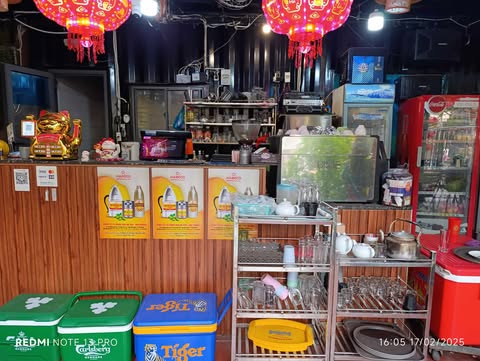 lĩnh vực hoạt động