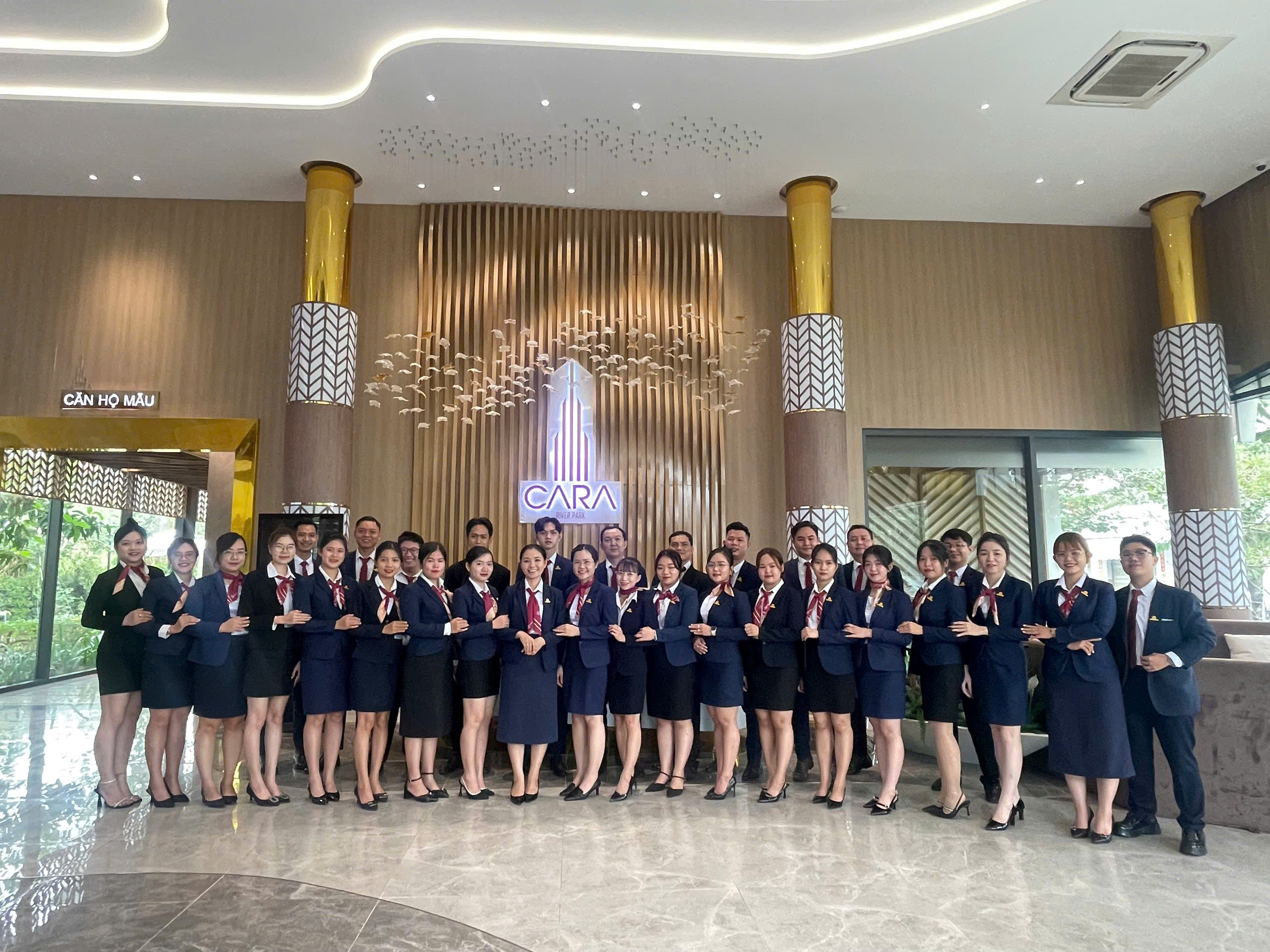 lĩnh vực hoạt động