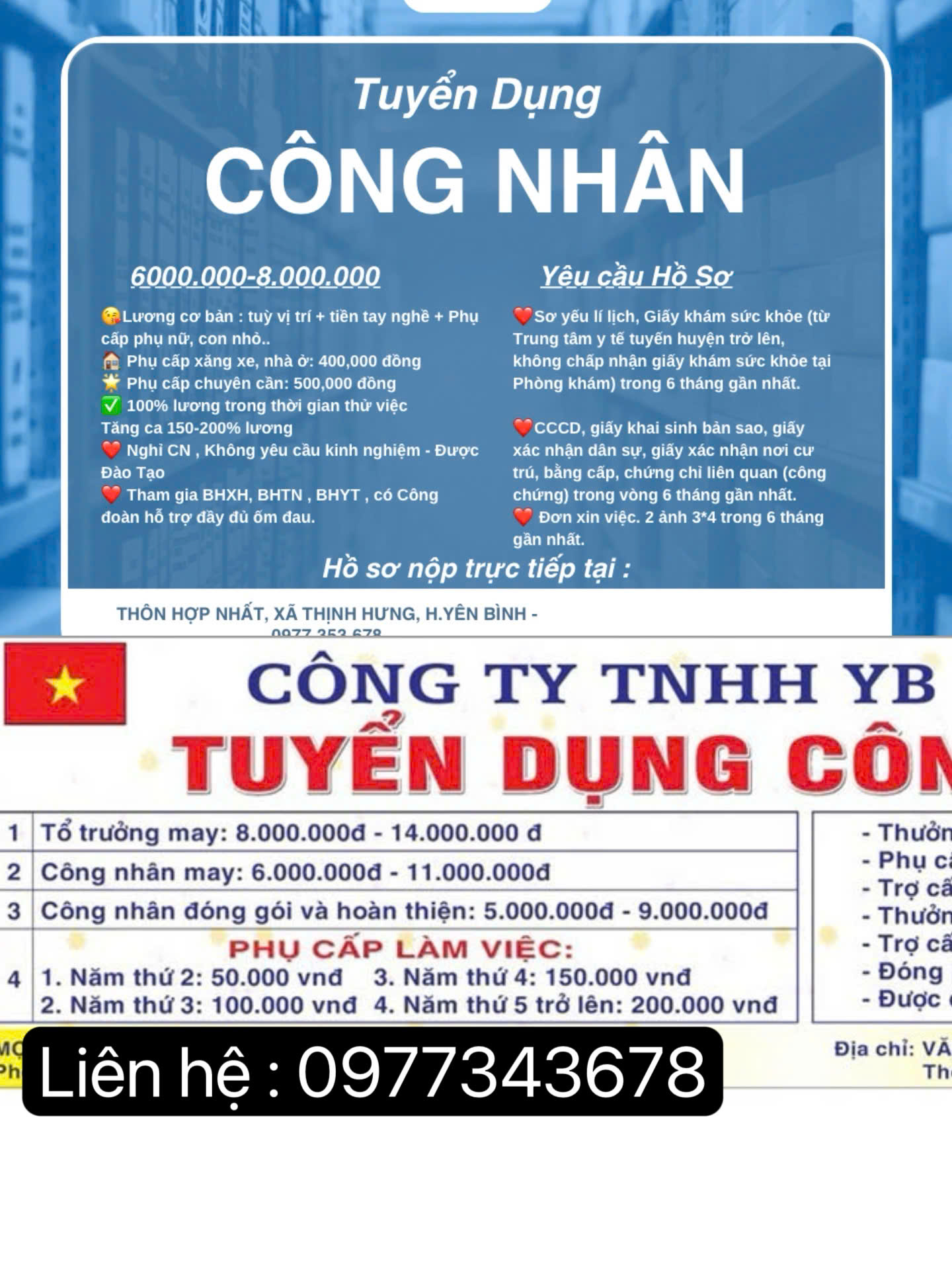 lĩnh vực hoạt động