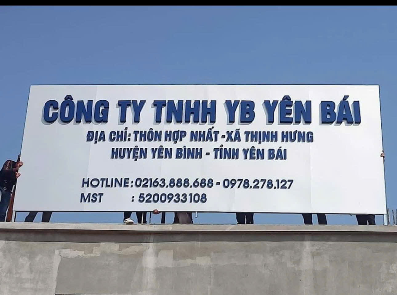 lĩnh vực hoạt động
