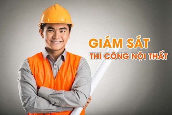 lĩnh vực hoạt động