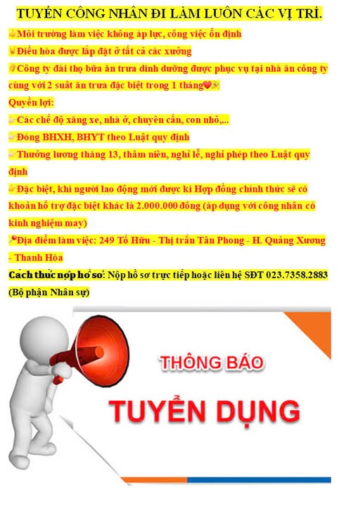 lĩnh vực hoạt động