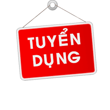 lĩnh vực hoạt động
