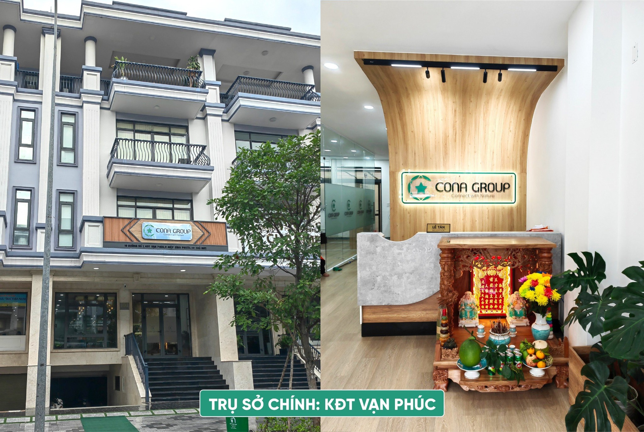 lĩnh vực hoạt động