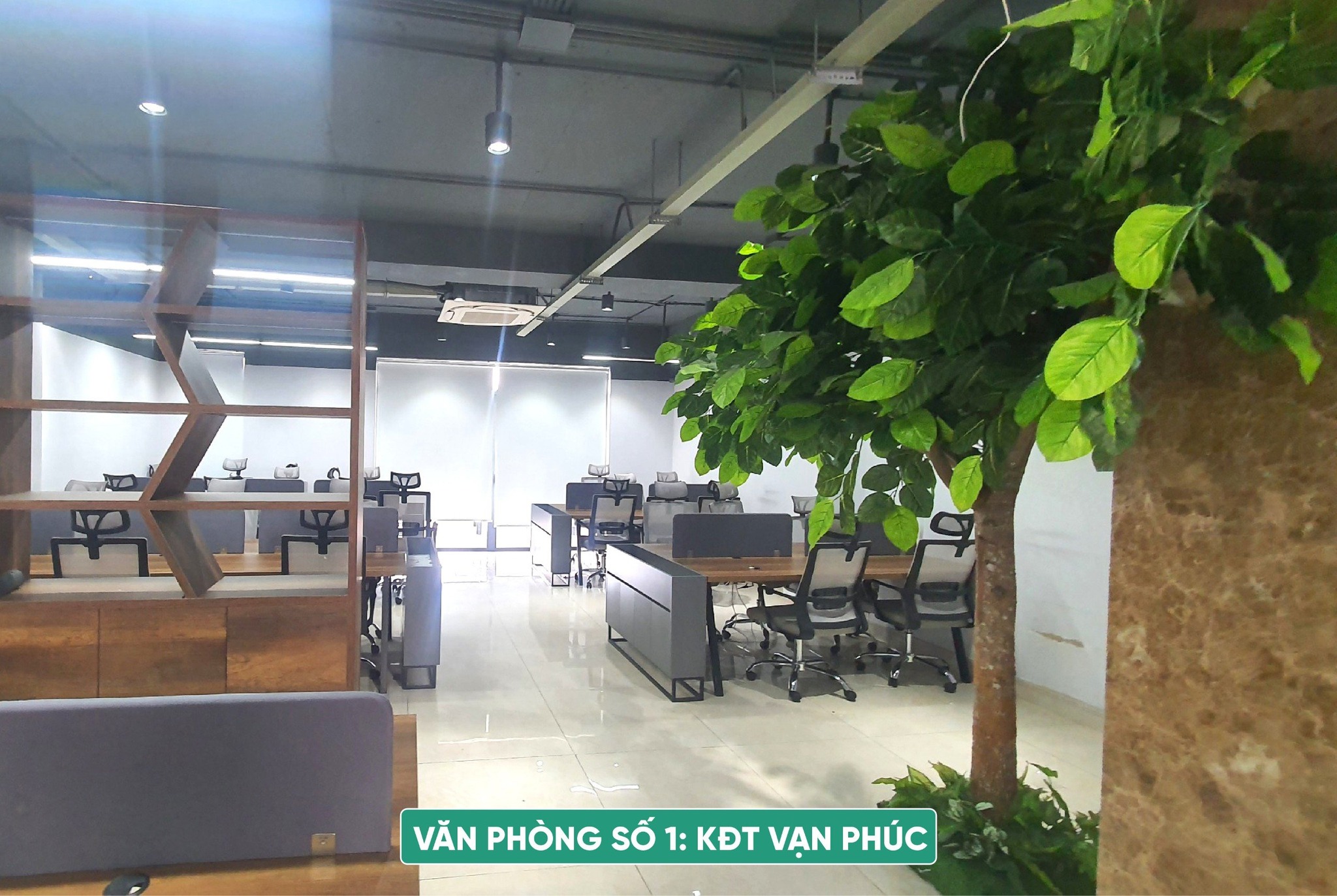 lĩnh vực hoạt động