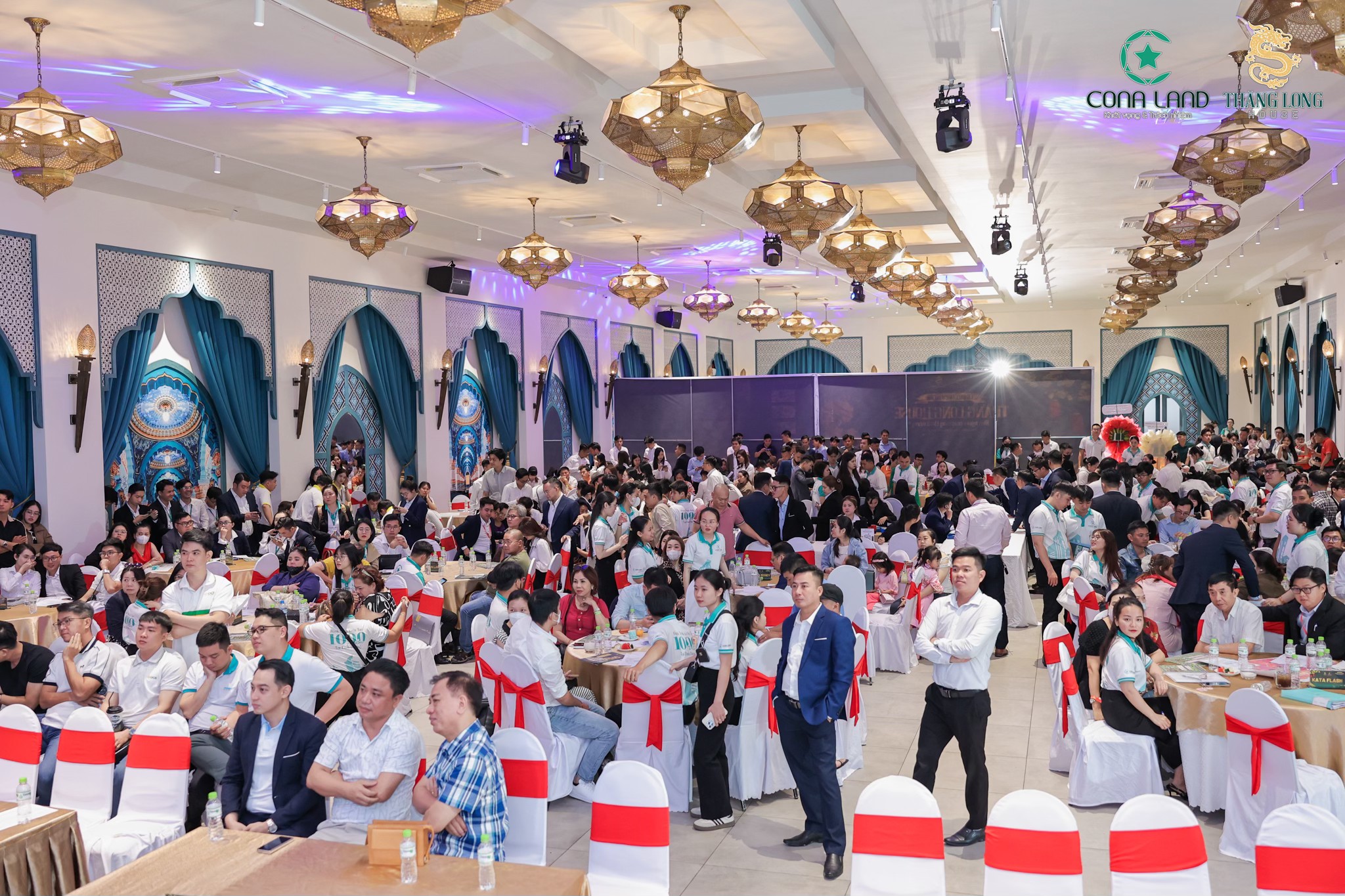 lĩnh vực hoạt động