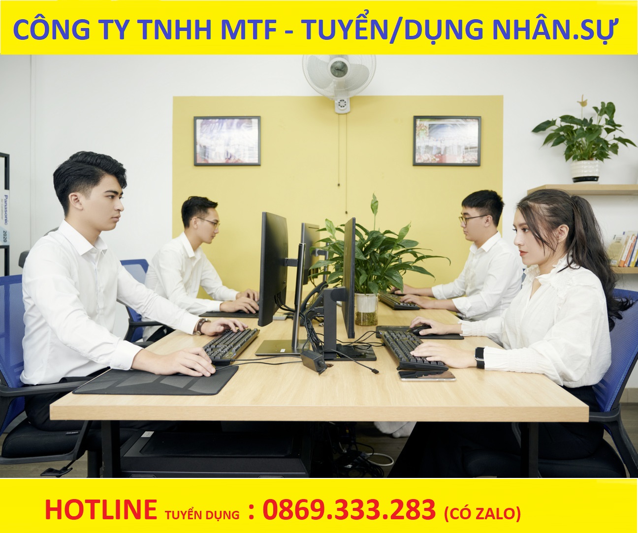 lĩnh vực hoạt động