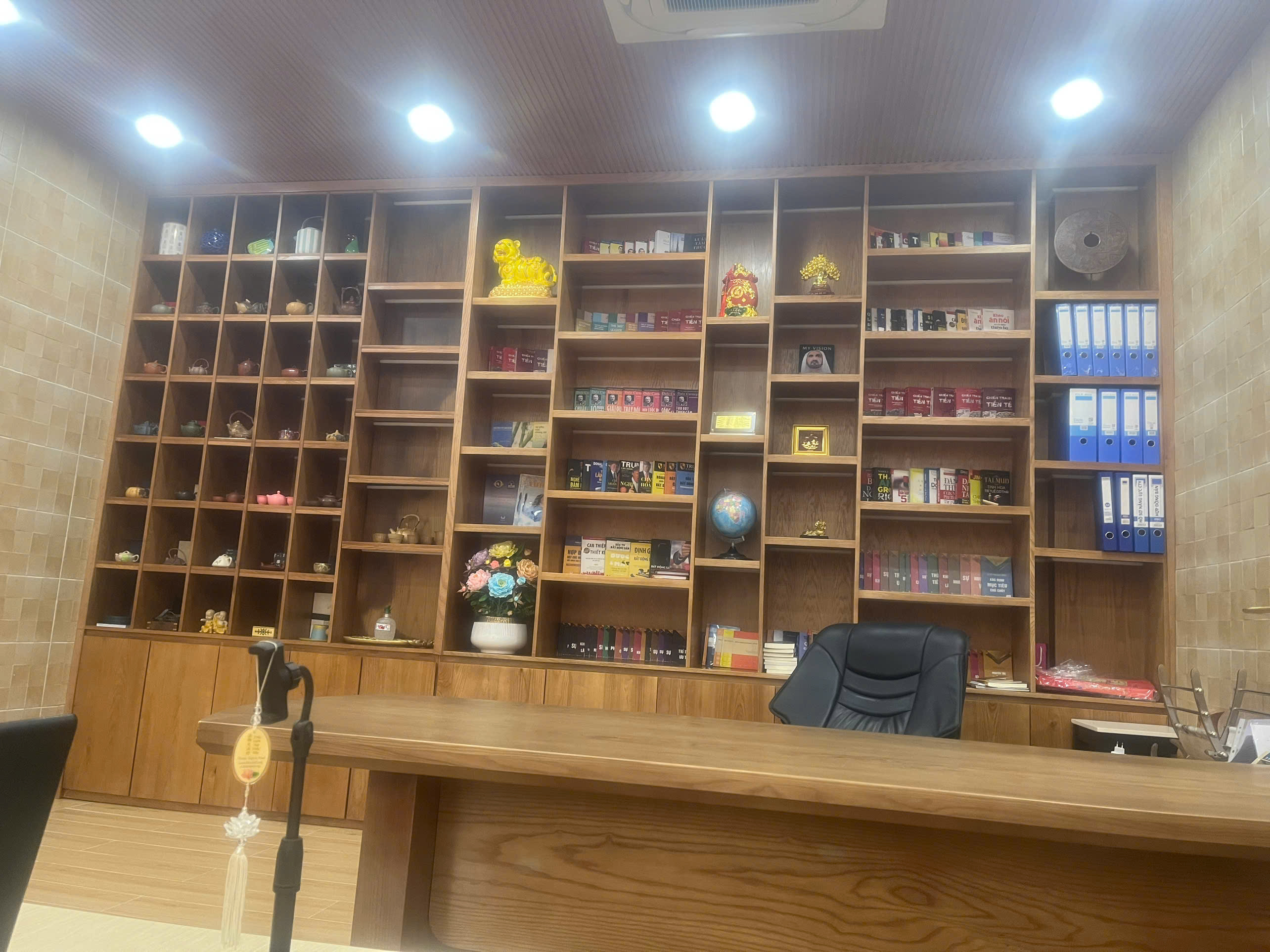 lĩnh vực hoạt động