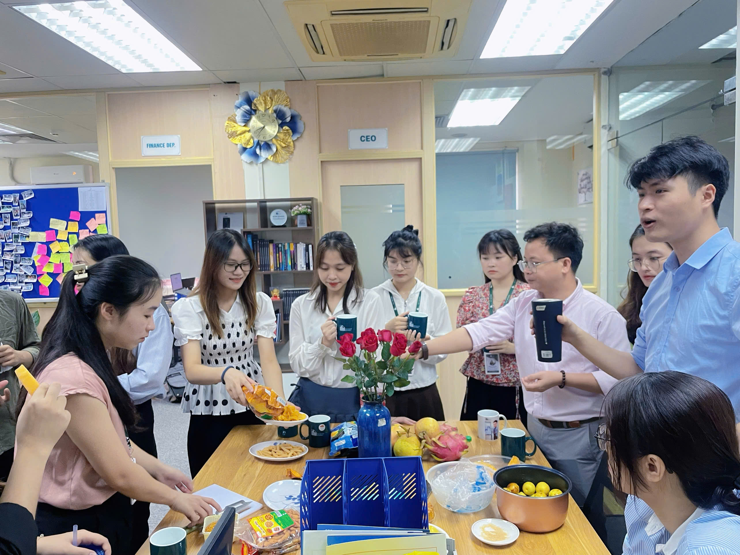 lĩnh vực hoạt động