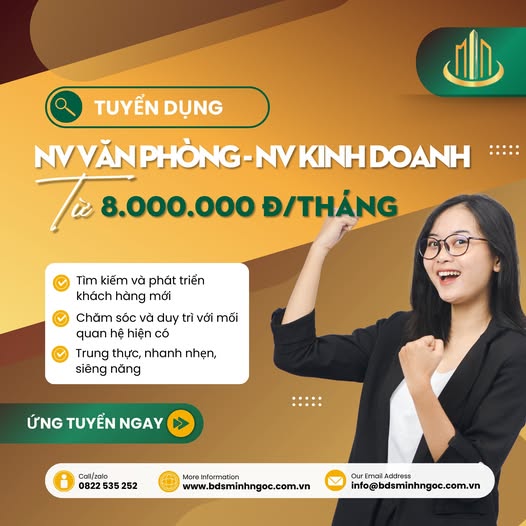 lĩnh vực hoạt động
